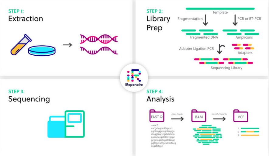 NGS: Saiba tudo sobre a tecnologia de sequenciamento de DNA e como aplicar os exames de Genômica na rotina médica. 