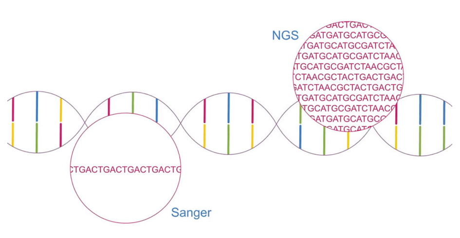 NGS: Saiba tudo sobre a tecnologia de sequenciamento de DNA e como aplicar os exames de Genômica na rotina médica. 